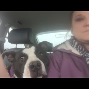 Meet your Posher, Kelly